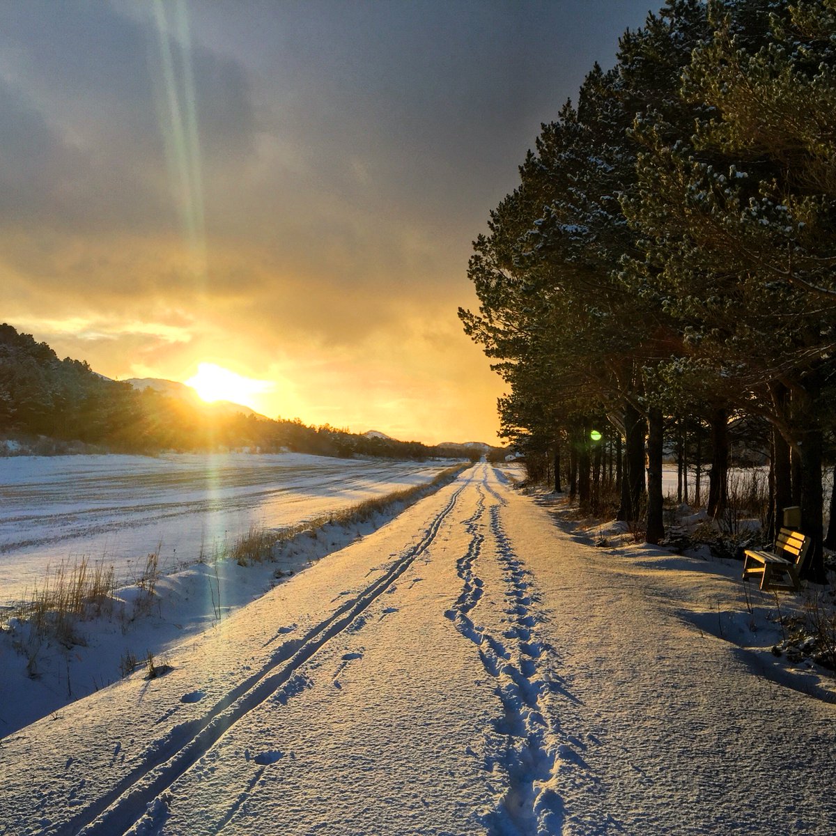 briefingfosen's tweet photo. Beautiful february  :-)  tracks  #fosen #visitnorway #travel #winter #ilovenorway #adressa #vg #utno #inatur https://t.co/VJlrM2ZppB