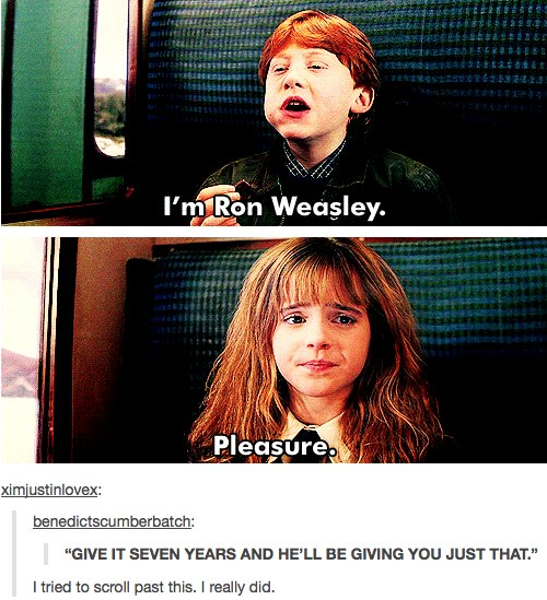 what?! NO
