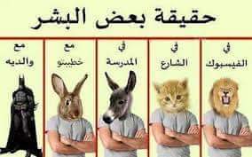 al basha (@basha55507300) on Twitter photo 