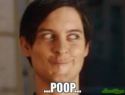 Use Sit Scent and smile! The odor will never appear. Free ship over $20. sitscent.com