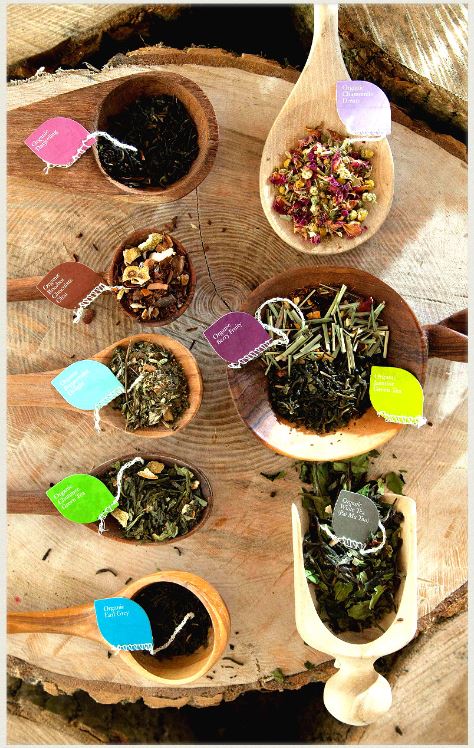_InsomniaCoffee's tweet photo. Tuesday Chooseday, fancy a cuppa? Choose between some of our healthy @solaristea for you lunch! #insomniacoffee #tea https://t.co/T2bDtKLU0R