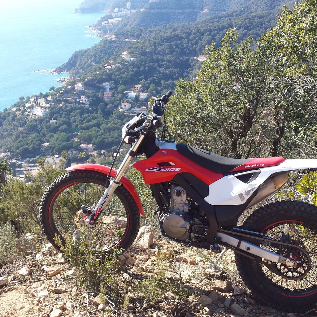 montesa 4ride scrambler