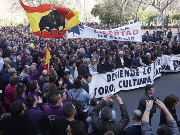 <a href="/UNPBE/">U.N.P.B.E.</a> publica los horarios de los buses gratuitos para la manifestación dl 13-M en Valencia cultoro.com/actualidad/201…