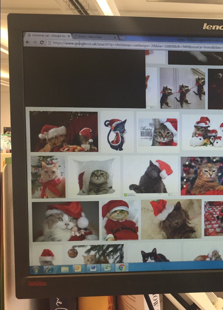 editorvhw's tweet photo. When your computer freezes at work and this is your screen. Yeah, that. #amactuallyworking #christmascats https://t.co/A6WqiGC1uT