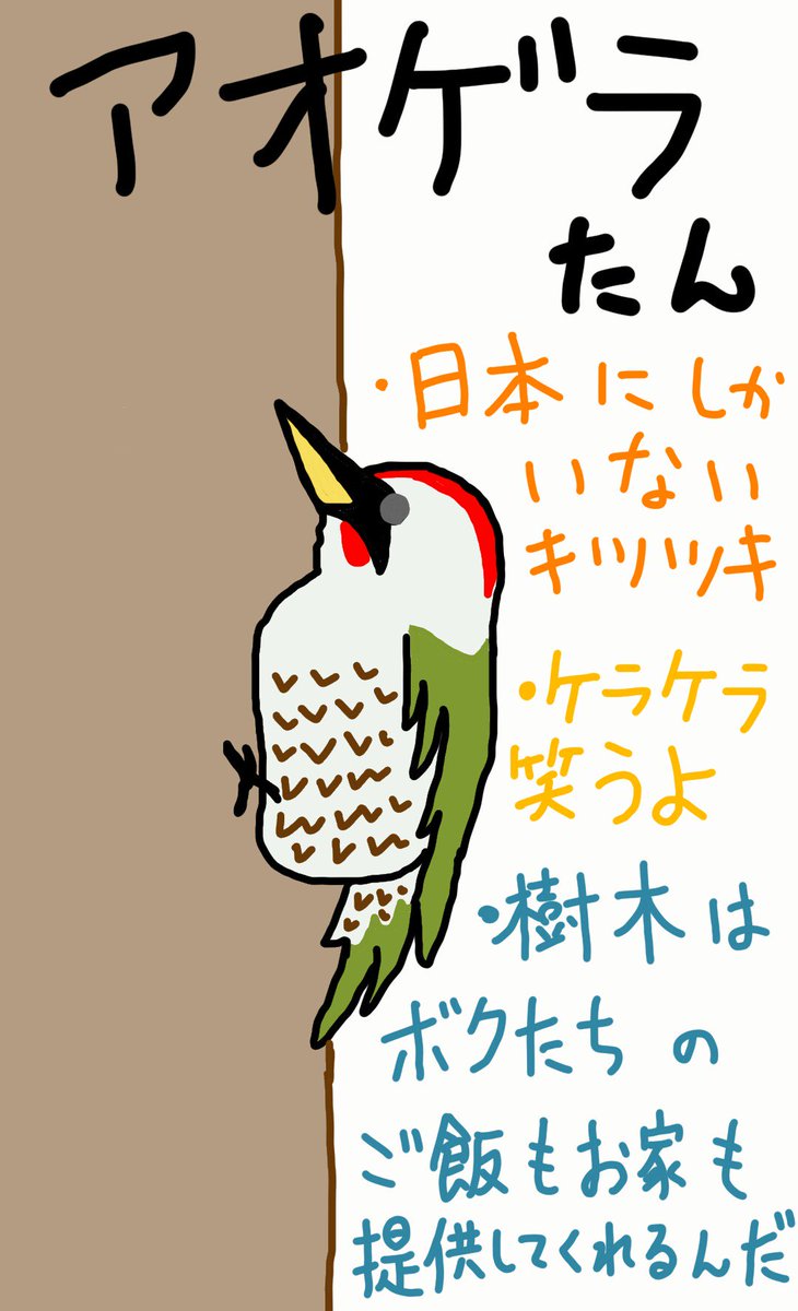 江藤ぴりか 野鳥イラスト キツツキって木に垂直に止まるのがいいよね W ちなみに私のicocaケースにコゲラさんのカードを仕込んでます T Co Ii4icvwzrs
