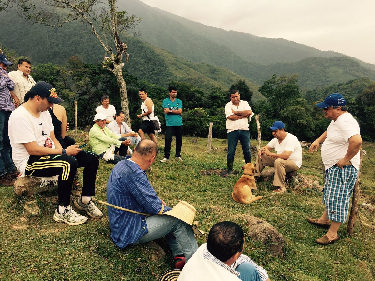 AlcaldiaRestrepo tweet media