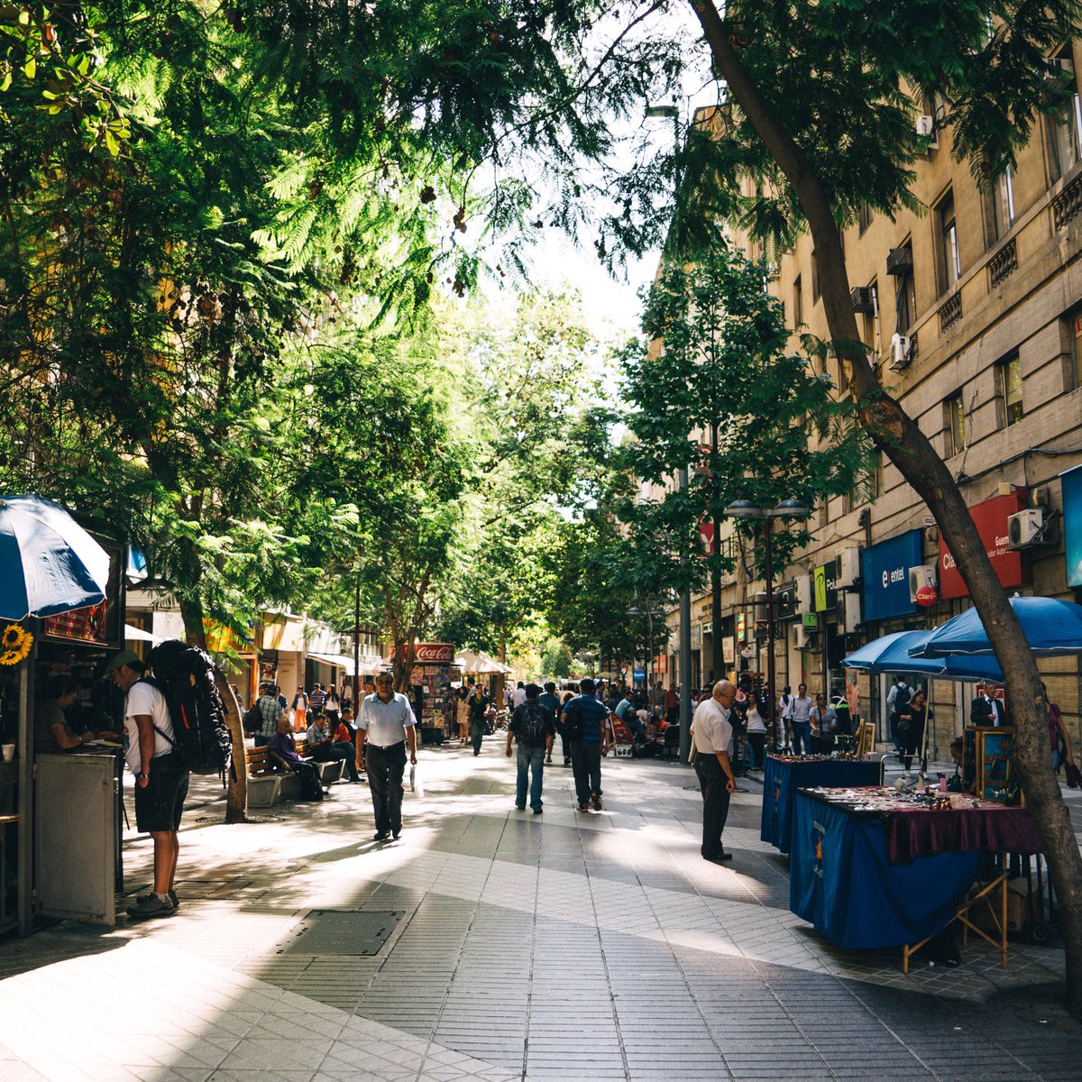 heynadine's tweet photo. Free walking tours through #Santiago, gotta love them! 🏃🏼🌳https://t.co/MHgY7p83CB https://t.co/TojzcofzKw