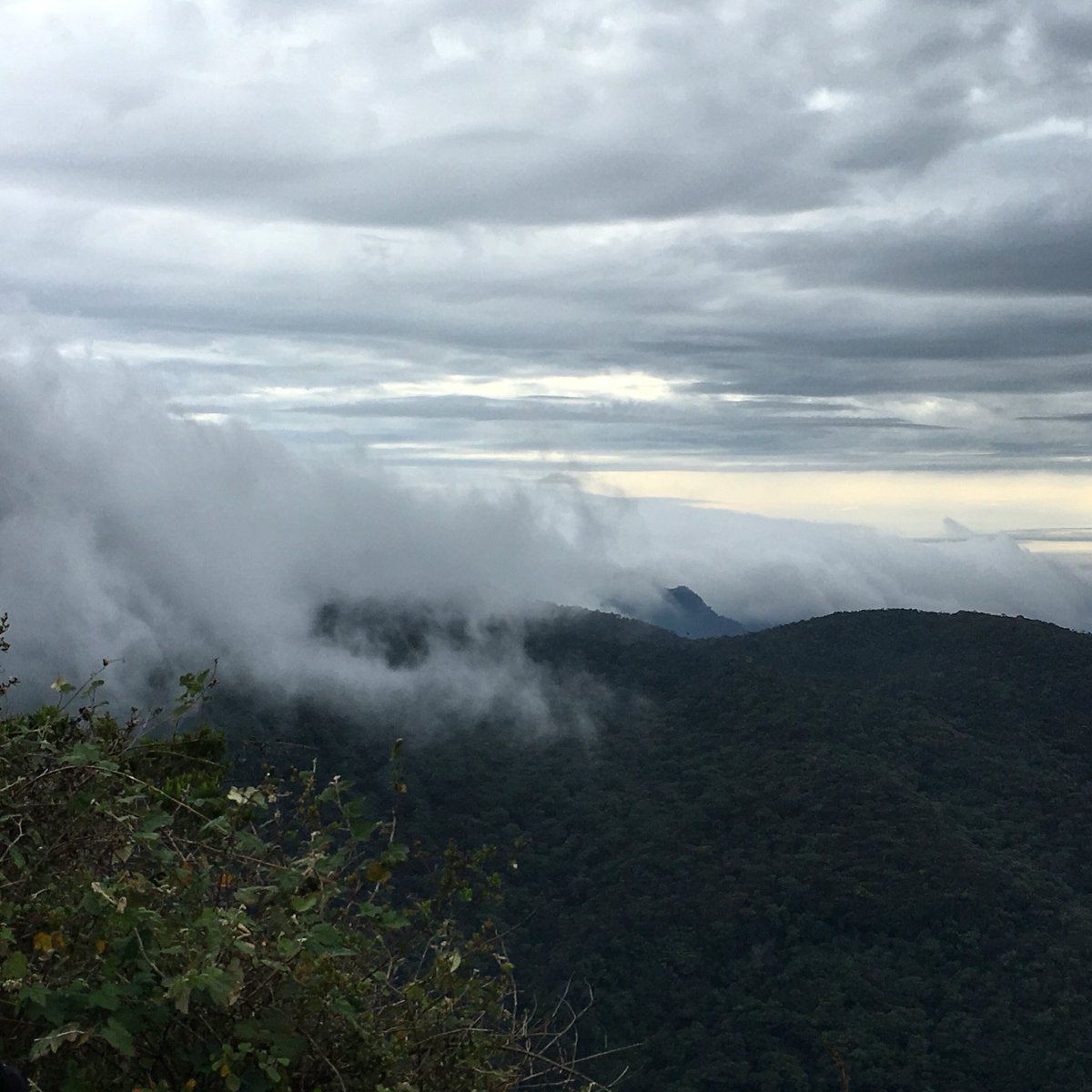 lromviel's tweet photo. Rondreis #SriLanka #HortonPlains #WorldsEnd #BakerFalls https://t.co/t0V6EcTOmp