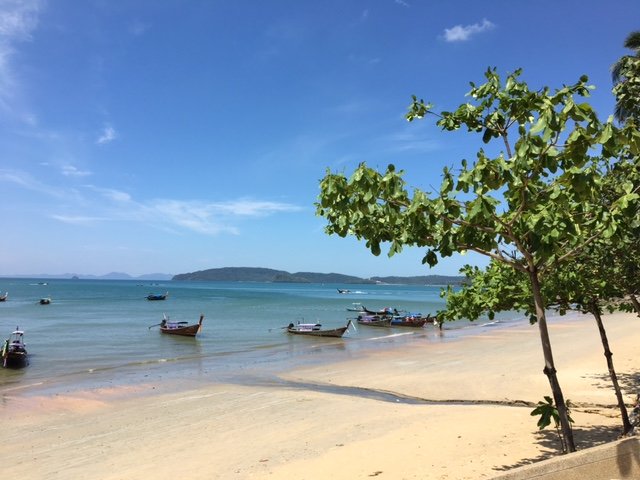 15DaysofDave's tweet image. #FifteenDaysofDave Update:

Kelly's Day: (This is not a stock photo. She's actually at this beach.)