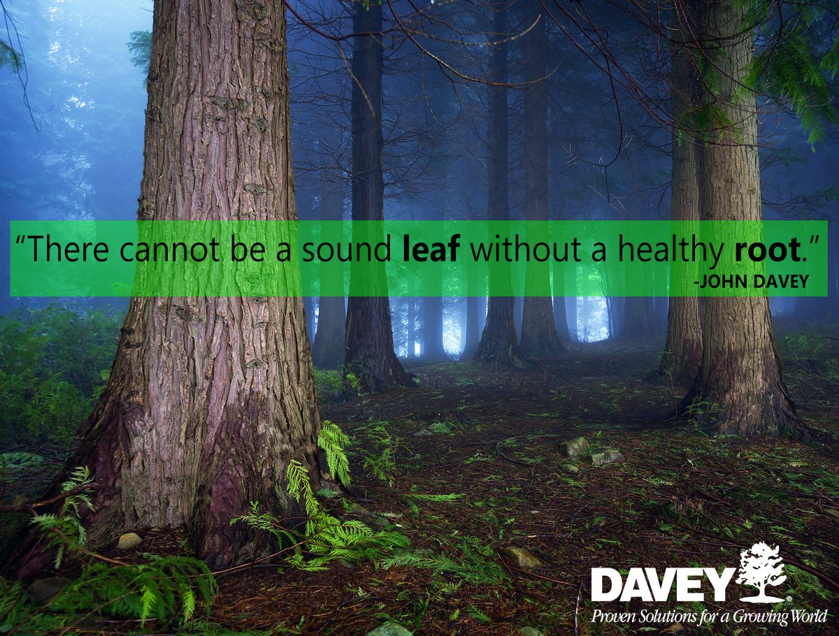 DaveyTree's tweet photo. John Davey, our founder, believed healthy roots lead to healthy #trees. https://t.co/OCvzZZ40XG #TreeTuesday https://t.co/wLgN4v8YQK