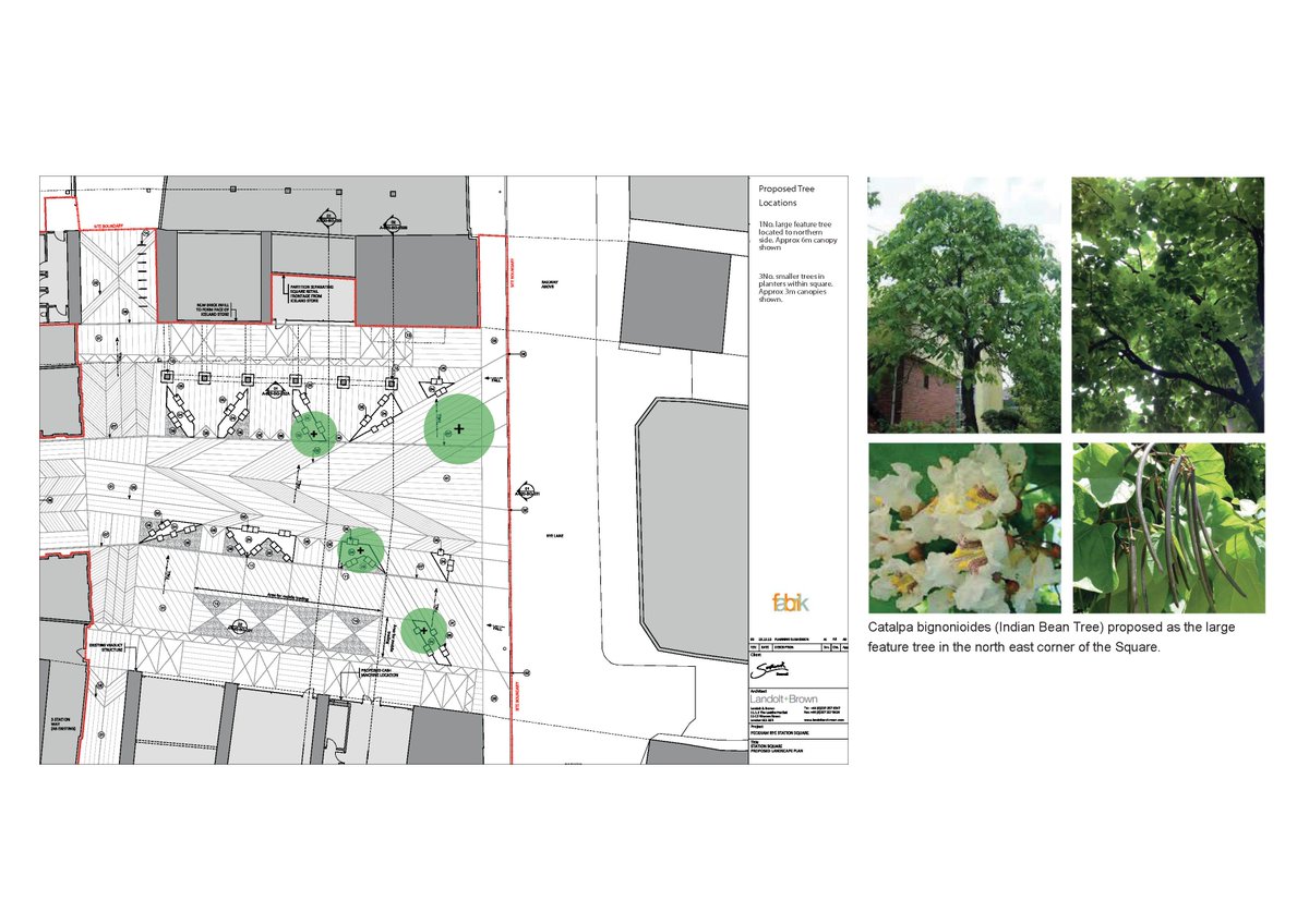 Trees for Station Sq! We have thought about what you have said + revised the scheme: goo.gl/UXPoiC