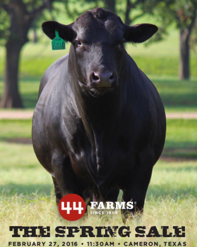 44Farms's tweet photo. Make sure to mark #TheSpringSale on your calendars! We are selling 450 Angus bulls and the Fab Five Females. https://t.co/EZbhVpS6YI