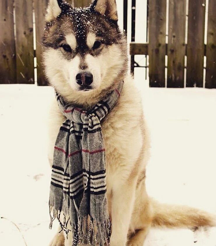 Davidbafe's tweet image. 