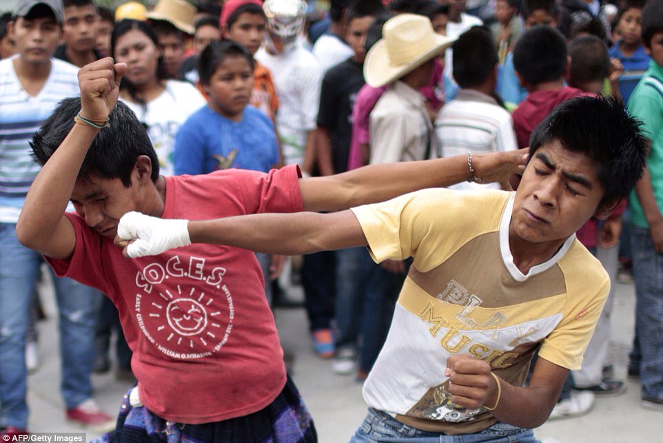 blownopps's tweet image. Jose is punching Hose Bee, don't worry they're just brothers fighting over the good lawnmower ! @blownopps 💥 🙀 🔫
