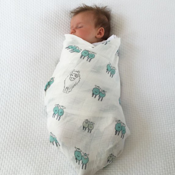 Soft bamboo muslin swaddles from <a href="/IslaandWilbur/">Isla & Wilbur</a> are in-store now. Decorated with pastel highland cows and sheep.