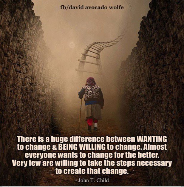 balancedmotion's tweet image. 