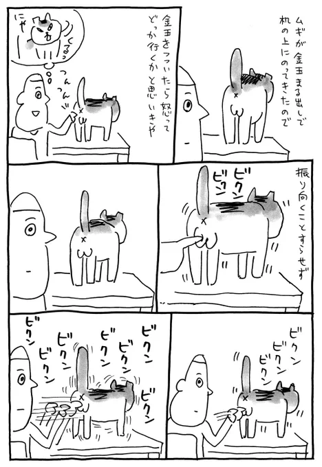 1ページマンガ「開拓」 