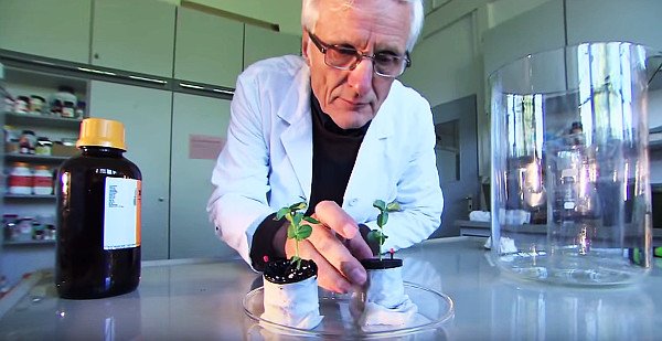 FLORANIUM's tweet photo. Amazing Nature #Documentary about #Plant #Signaling https://t.co/q2Lu6VgdMA https://t.co/CMOiIrWb3z