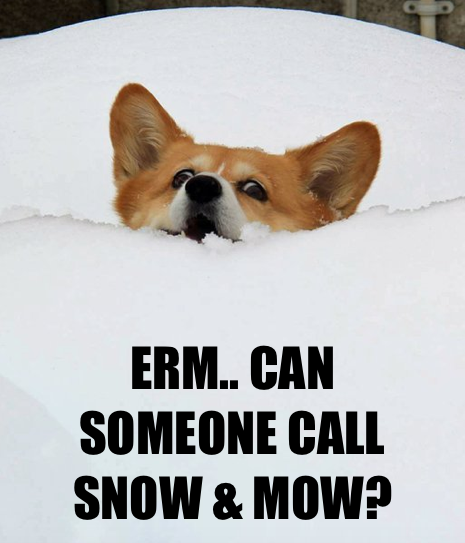 SnowAndMowNL's tweet photo. Need a hand shovelling this winter? Call us today 325-7669 #YYT #NLweather #Newfoundland #Winter #Snow #nlpoli https://t.co/4tr7c0h6a8
