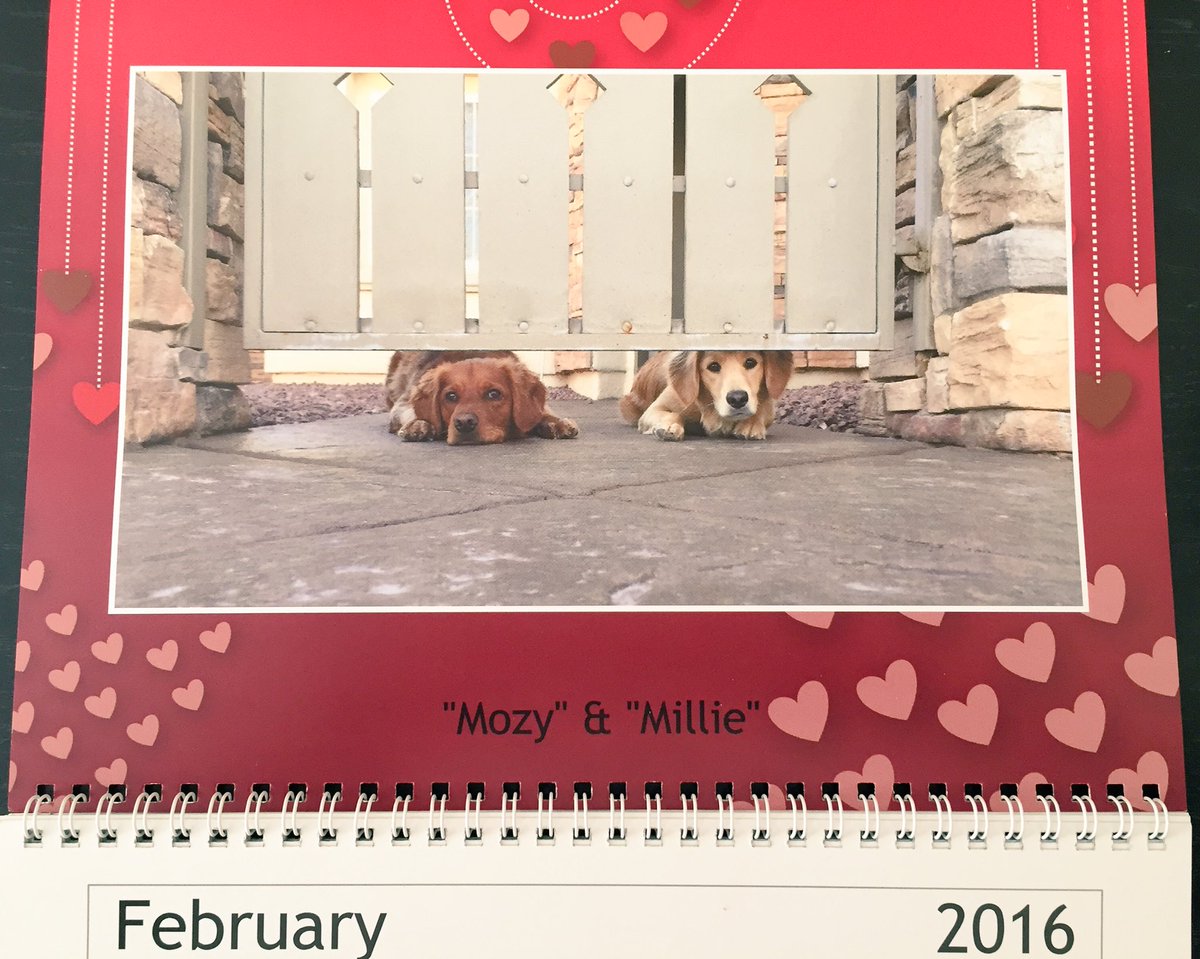 Mozy & Millie (@MOZYandMILLIE) / Posts / X