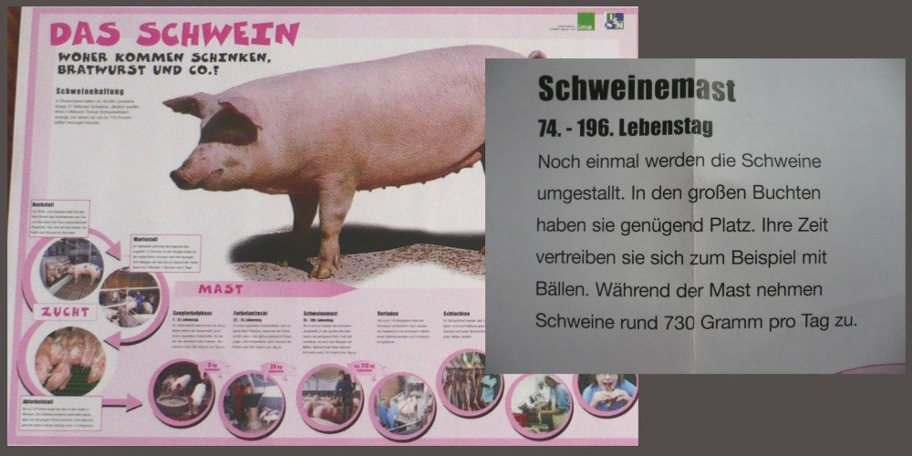 Agrarlobby's tweet photo. #didacta16 @BZgA Lobbymaterialien von Bauernverband raus aus Schulen! Petition: https://t.co/DNsWzpjmUp https://t.co/K7kMBfl1lE