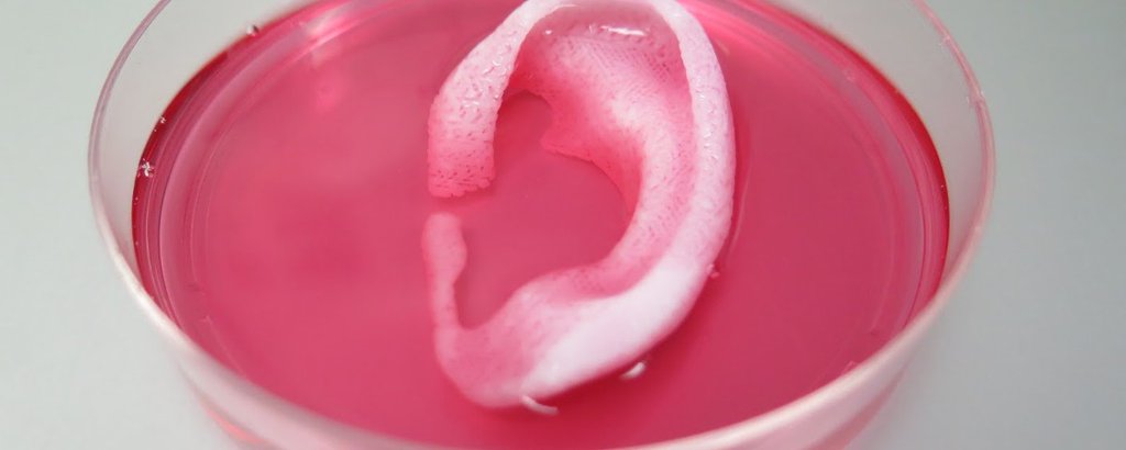 motherboard's tweet photo. Scientists have successfully transplanted 3D printed human body parts into rats
https://t.co/C8soLleq8J https://t.co/8AEUNoabjQ