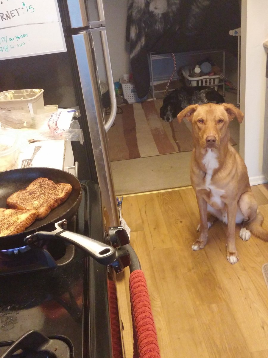 CaseyCatalyst's tweet photo. It's a French toast day. #cookingbuddy https://t.co/szLFtHs8IH