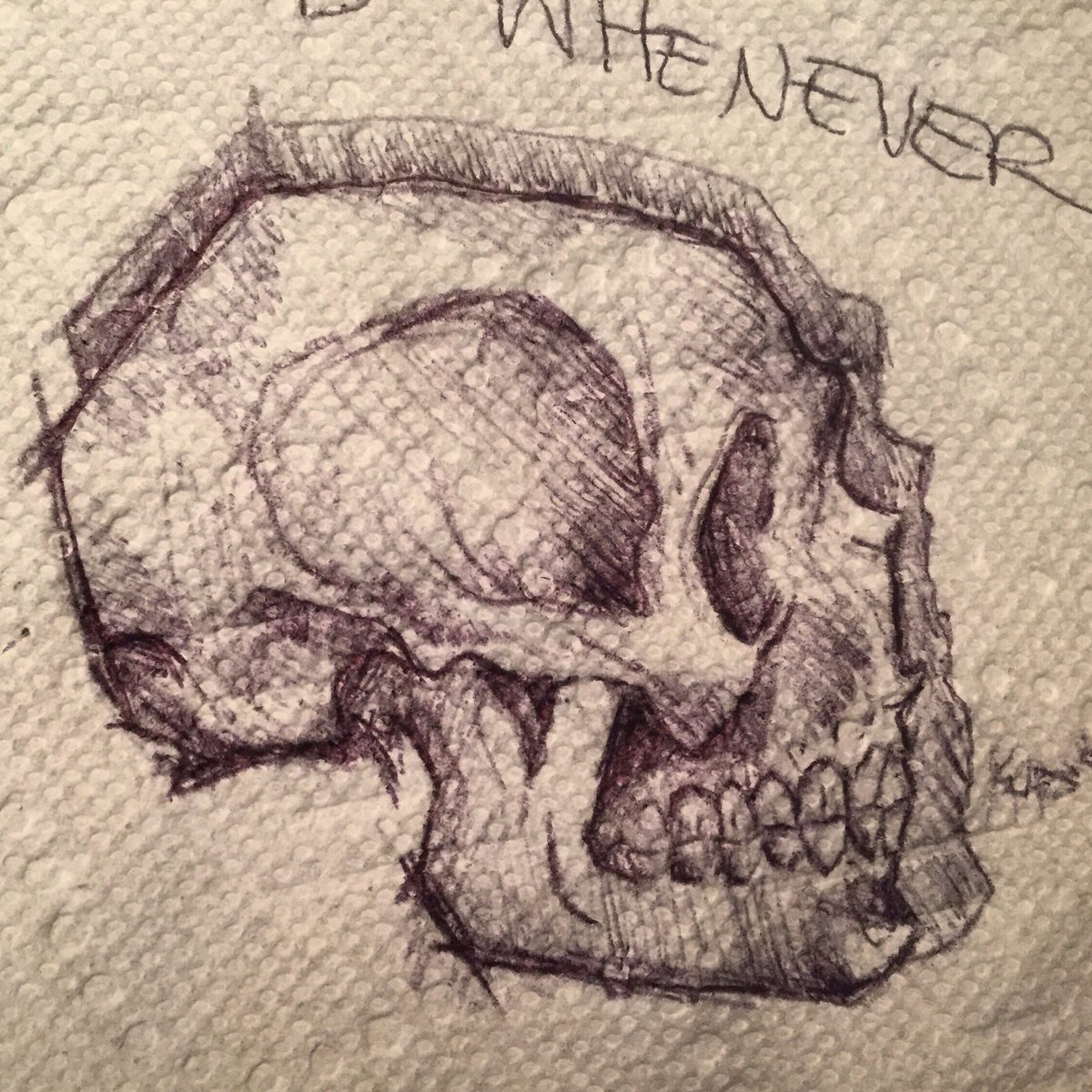 kkupskay's tweet photo. Napkin Skull Sketch #skull #sketch https://t.co/GX0d1Db3K6