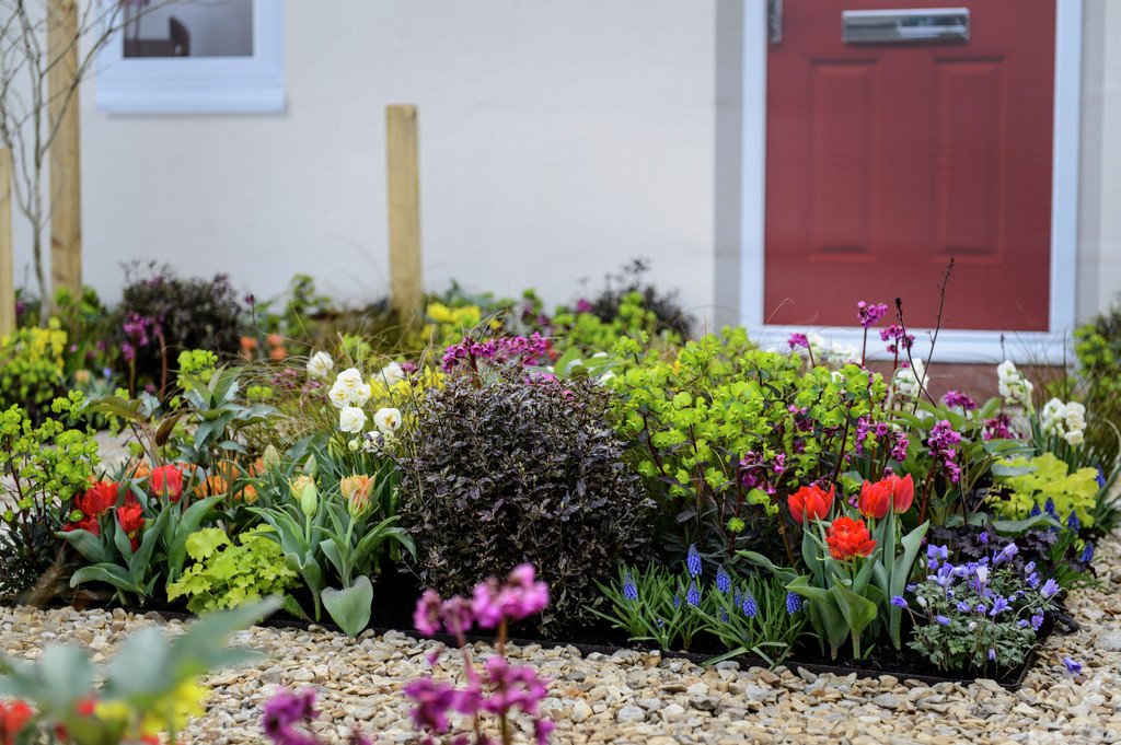 The_RHS's tweet photo. 4 lucky budding designers will create a front garden at #RHSHampton - enter at https://t.co/xUSVgQQ0qi by 26 Feb! https://t.co/bMChexy84w