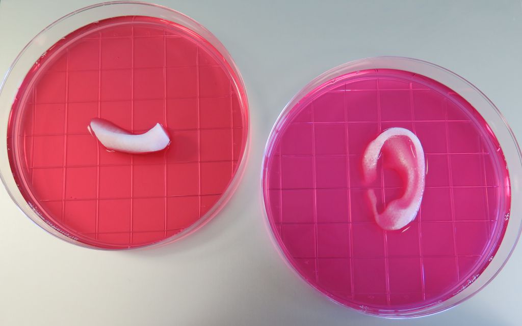 codeorg's tweet photo. You could soon program 3D-printed human body parts that could replace real ones https://t.co/B9CZJs8sZP https://t.co/EdheOpfpXN