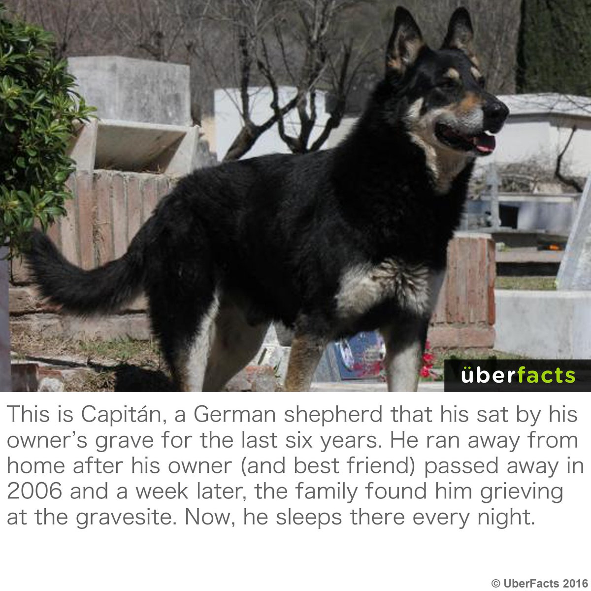 UberFacts's tweet photo. :( https://t.co/FGXR7cWQCS