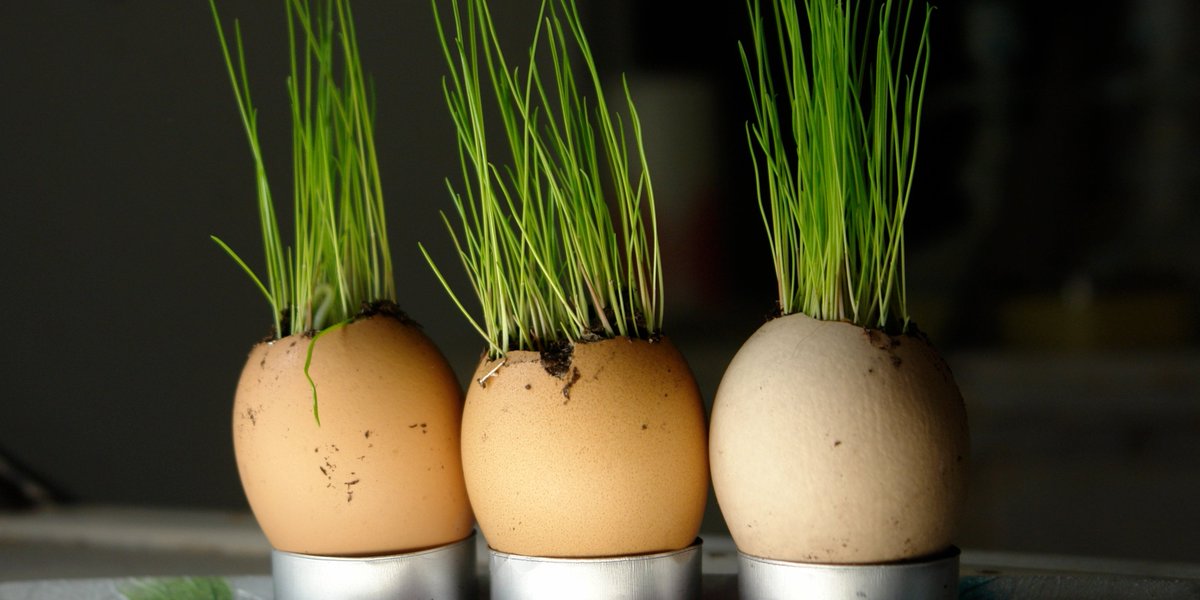 pallantdigital's tweet photo. Goodbye old-school marketing ...
Say, hello to #inbound #marketing for #foodmanufacturers 
https://t.co/JdeDSGceS5 https://t.co/fJhzTqIaTg
