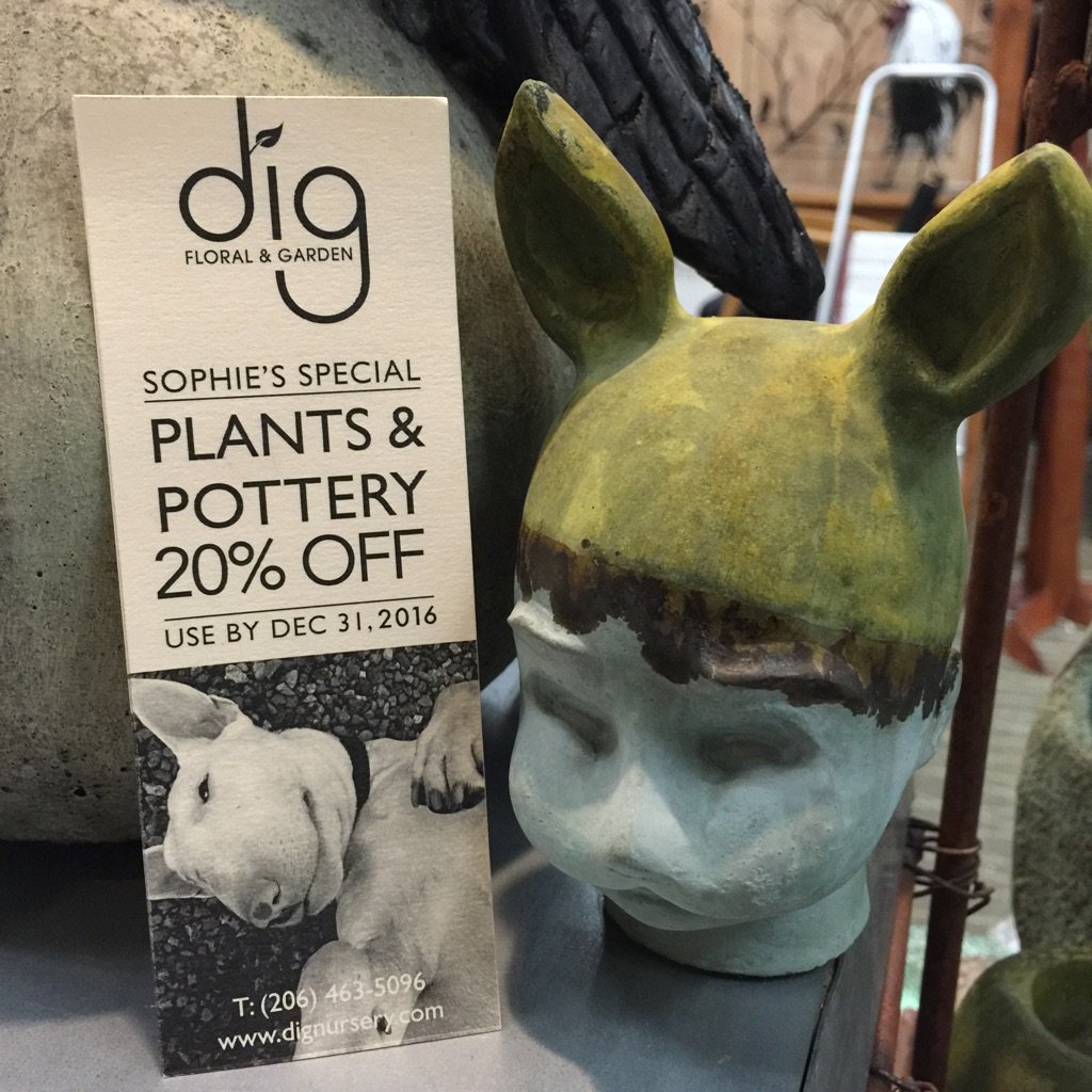 DIGNursery's tweet image. RT @DIGNursery: Visit us at #NWFGS and be sure to get a Sophie bookmark; good for 20% discount on #vashonisland