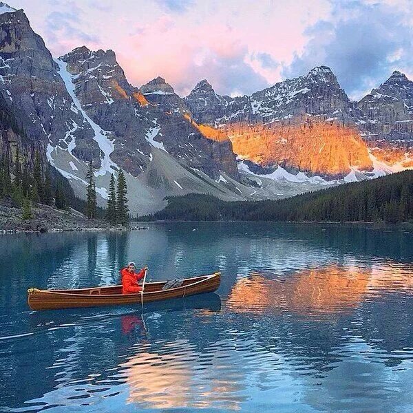 Can Dalöz (@candaloz) on Twitter photo 