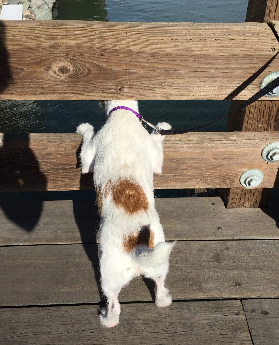 Bodie JRT tweet media