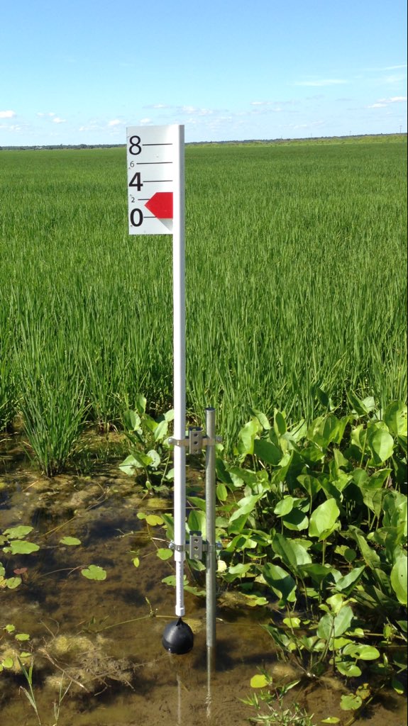 I threw together a website for those asking about the water gauges: check it out ricechecker.com