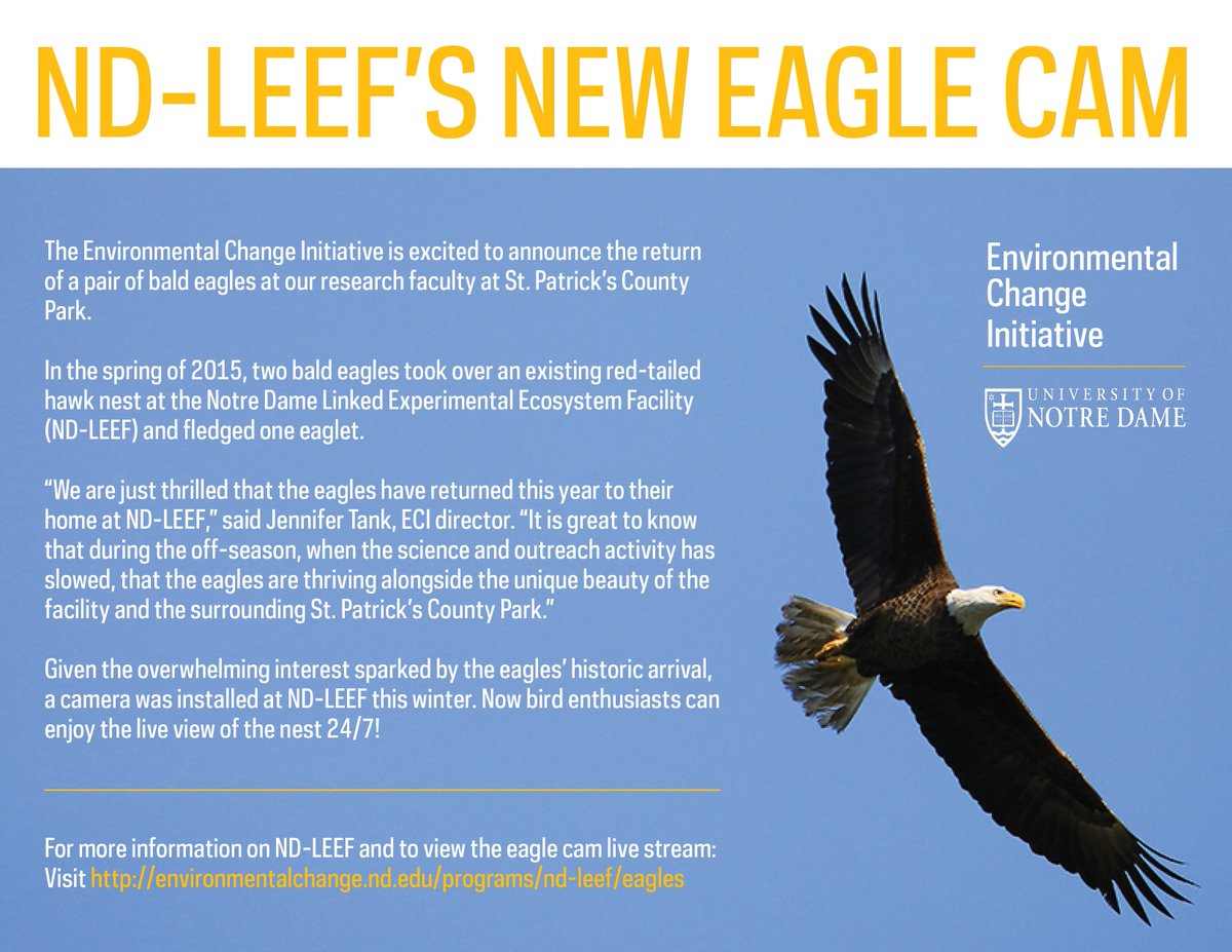 RT <a href="/NDLEEF/">ND-LEEF</a>: Check out our new #EagleCam with 24/7 view of #BaldEagle nest! LIVE HERE: ow.ly/Yogp1