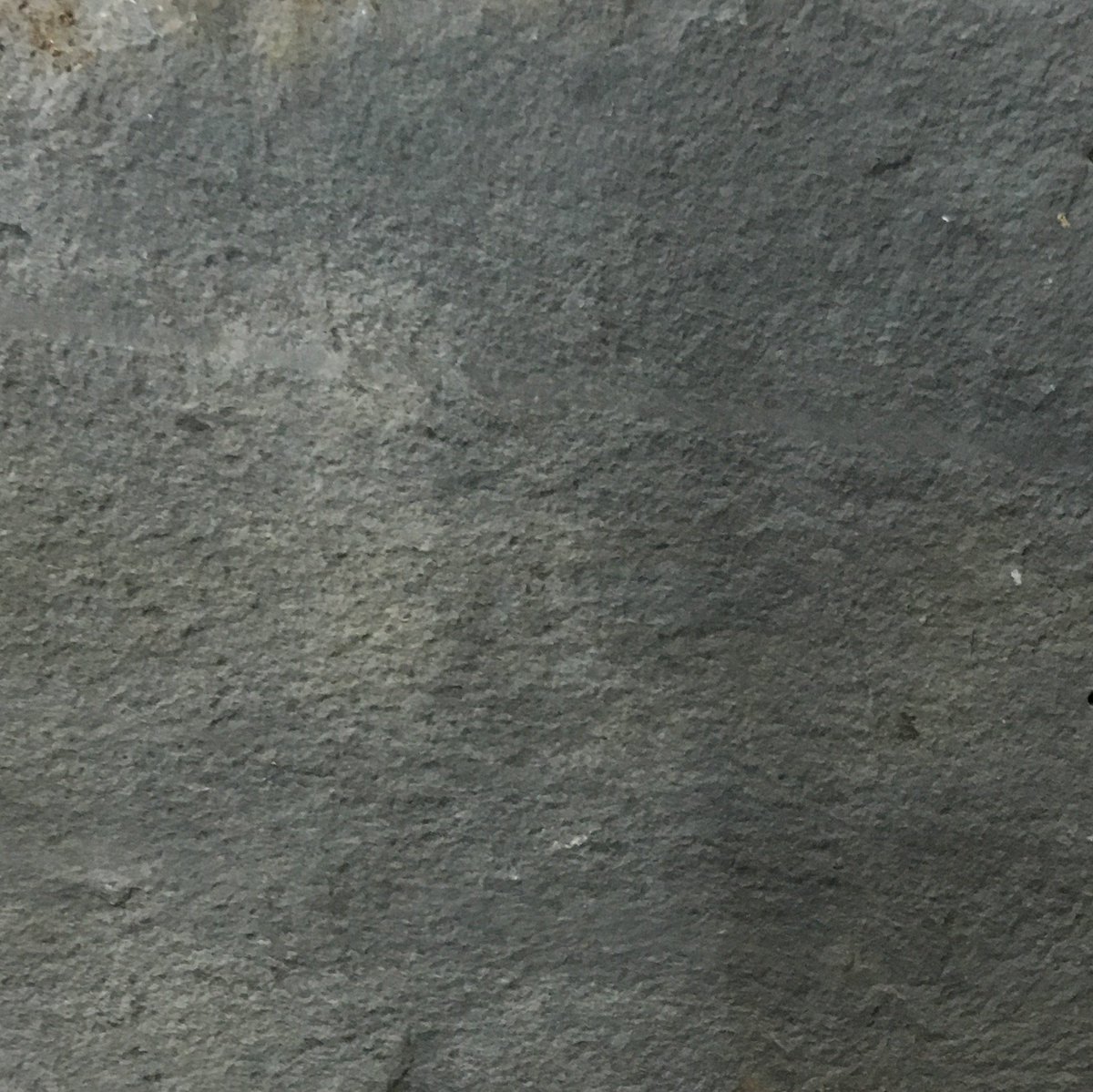 The Props Cupboard tweet media