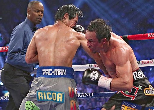 monomonky's tweet photo. Manny Pacquiao es pendejo, si te dan uno de estos obvio quedas bien pendejo "Los animales son mejores que los gays" https://t.co/flFYlotujs