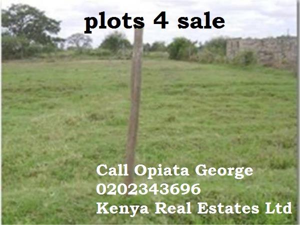 KenyaEstates tweet picture