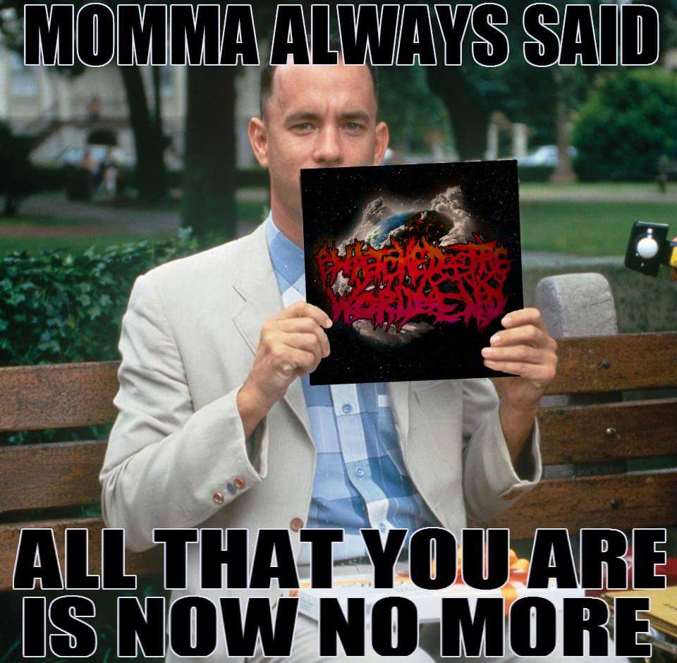 sherylwginae's tweet photo. RT drownthecoward RT IWTWEBAND: #DankMemes #NowNoMore #ForrestGumpMeme #ForrestGump #Deathcore #ATX #ImNotASmartMa… https://t.co/WxG4HPEghd