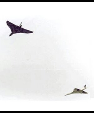 Rare shot of Vulcan XH558 flying along side Concorde. Two genuine engineering marvels ❤ @VulcanSCentral #Concorde