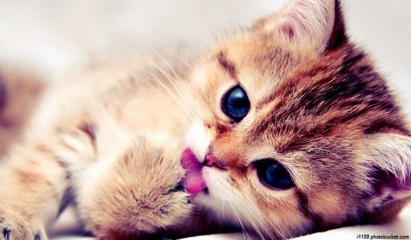 R0seChloe's tweet image. Love