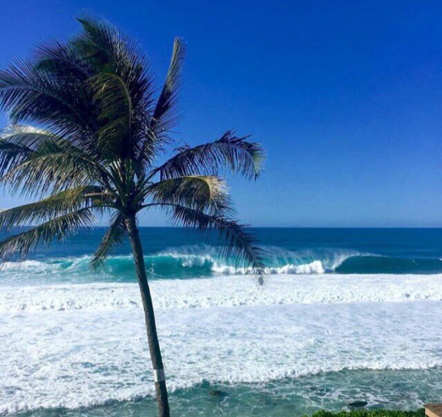 AlejandraSurfer's tweet photo. Morning 2 my aussies 🏄🏼 buddies ✌🏻️😘🏄🏼🌊 @Chrisfemz @samsonman007 @jon30591293 @kiwiabroad11 @thesurfnomad https://t.co/qLnJGBr8sj
