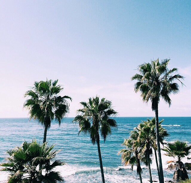 AlejandraSurfer's tweet photo. Morning 2 my aussies 🏄🏼 buddies ✌🏻️😘🏄🏼🌊 @Chrisfemz @samsonman007 @jon30591293 @kiwiabroad11 @thesurfnomad https://t.co/qLnJGBr8sj