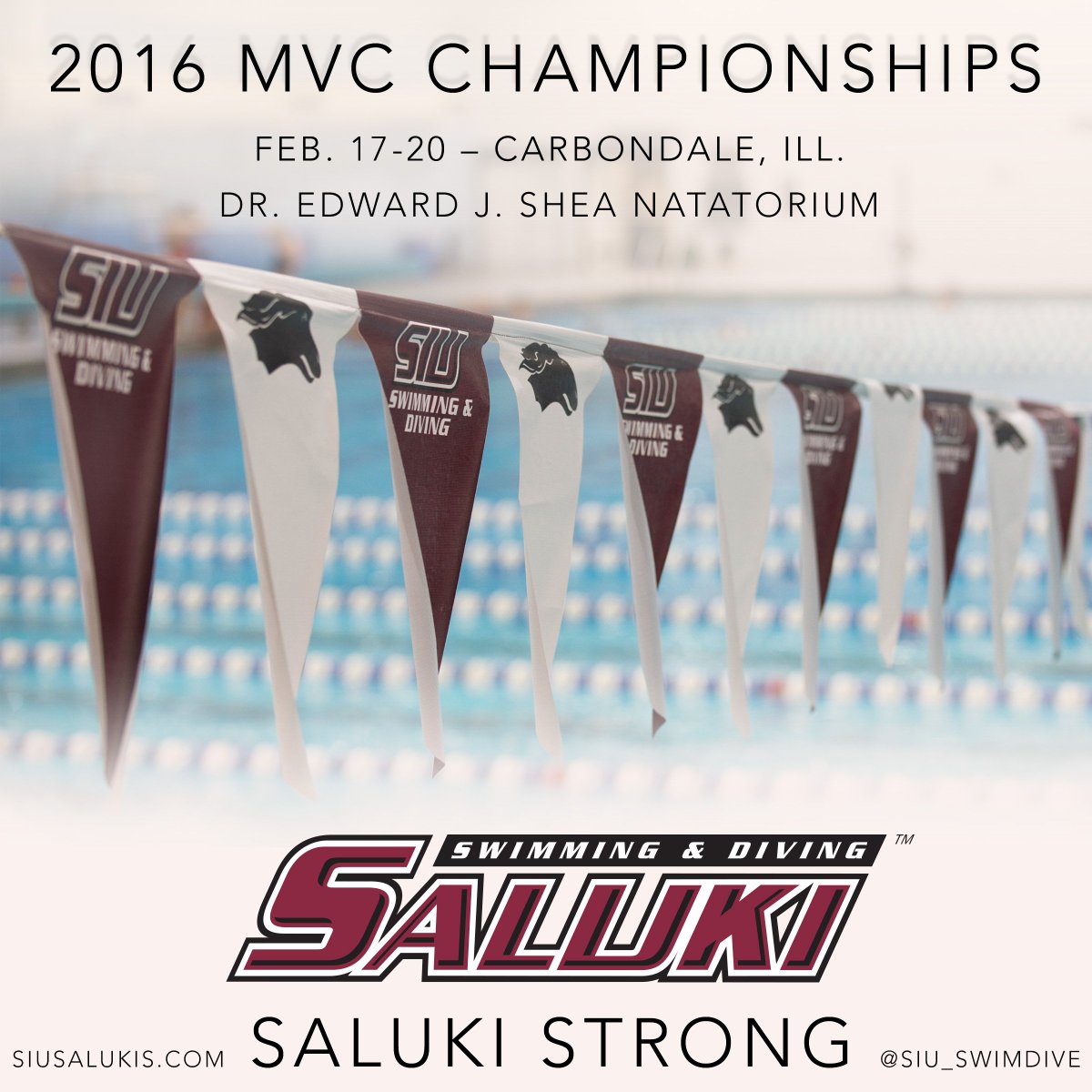 SIU_SwimDive's tweet photo. The #Salukis are set to host the MVC Championships starting TOMORROW! Get the details here. https://t.co/B1ySNeeltj https://t.co/6ApZTcQxM0