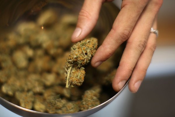 MME_SACRAMENTO's tweet photo. Top 6 industries fighting #marijuana legalization 

https://t.co/mQsGUw5Qcx … #MME #cannabis #cbd #thc #vote https://t.co/bjYFCdAJ5m