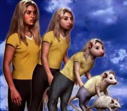 TheOGKooLAiD's tweet photo. When you a trap queen but your man gets raided https://t.co/agb7W4vGk8