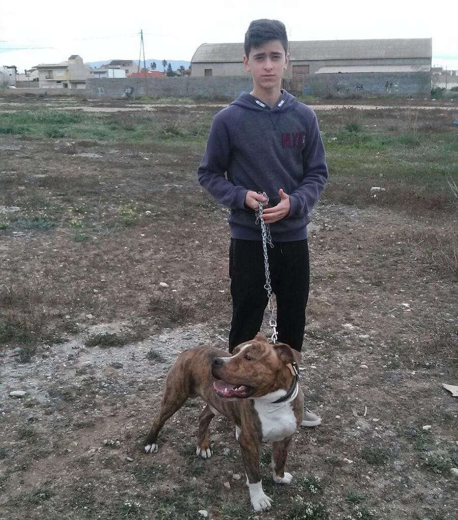 albertuky10's tweet photo. 🐶 https://t.co/bEFeFT5XNZ