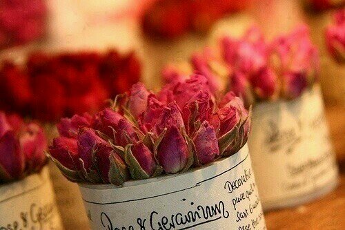 ياورد راح اللي يجيبك ويهديك 
راح الذي يقبلك مني هديه

ياورد اشوفك بس مالي غرض فيك
لايقبلك خاطر ولا مزهريه